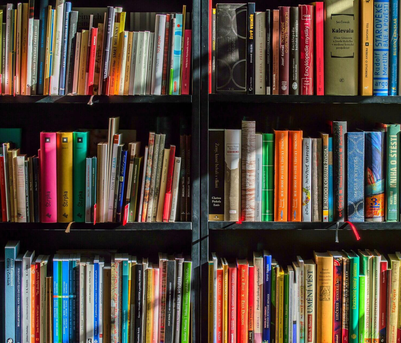 Image of a book shelf.
