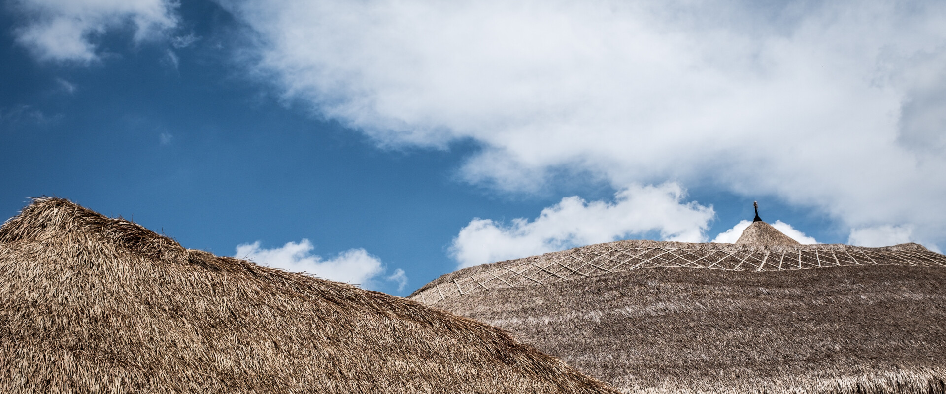 Thatch roofs